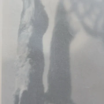 Dubrovački umetnici izlažu u Novom Sadu