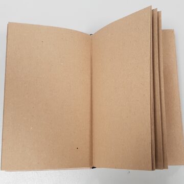 Ljiljana Maletin Vojvodic Art Books Umetnička biografija kao konstrukcija i fikcija: kome je potrebna i zašto?