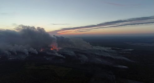 Povodom Dana planete zemlje besplatne onlajn projekcije filma „Divia“