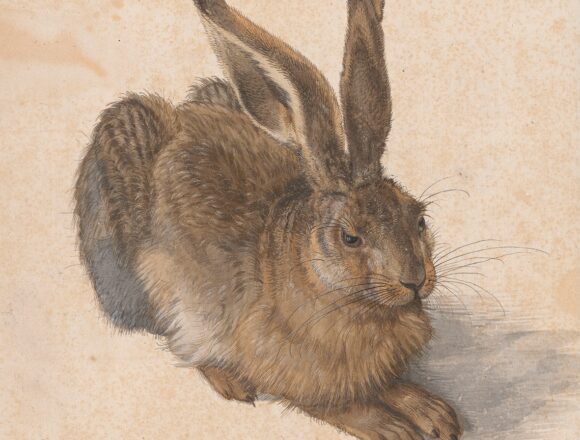 Albrecht Dürer Young Hare, 1502 25 × 22.5 cm, Watercolour, body colour, heightened with opaque white © The ALBERTINA Museum, Vienna